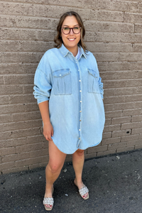 DAISY DENIM SHIRT DRESS (CURVE)